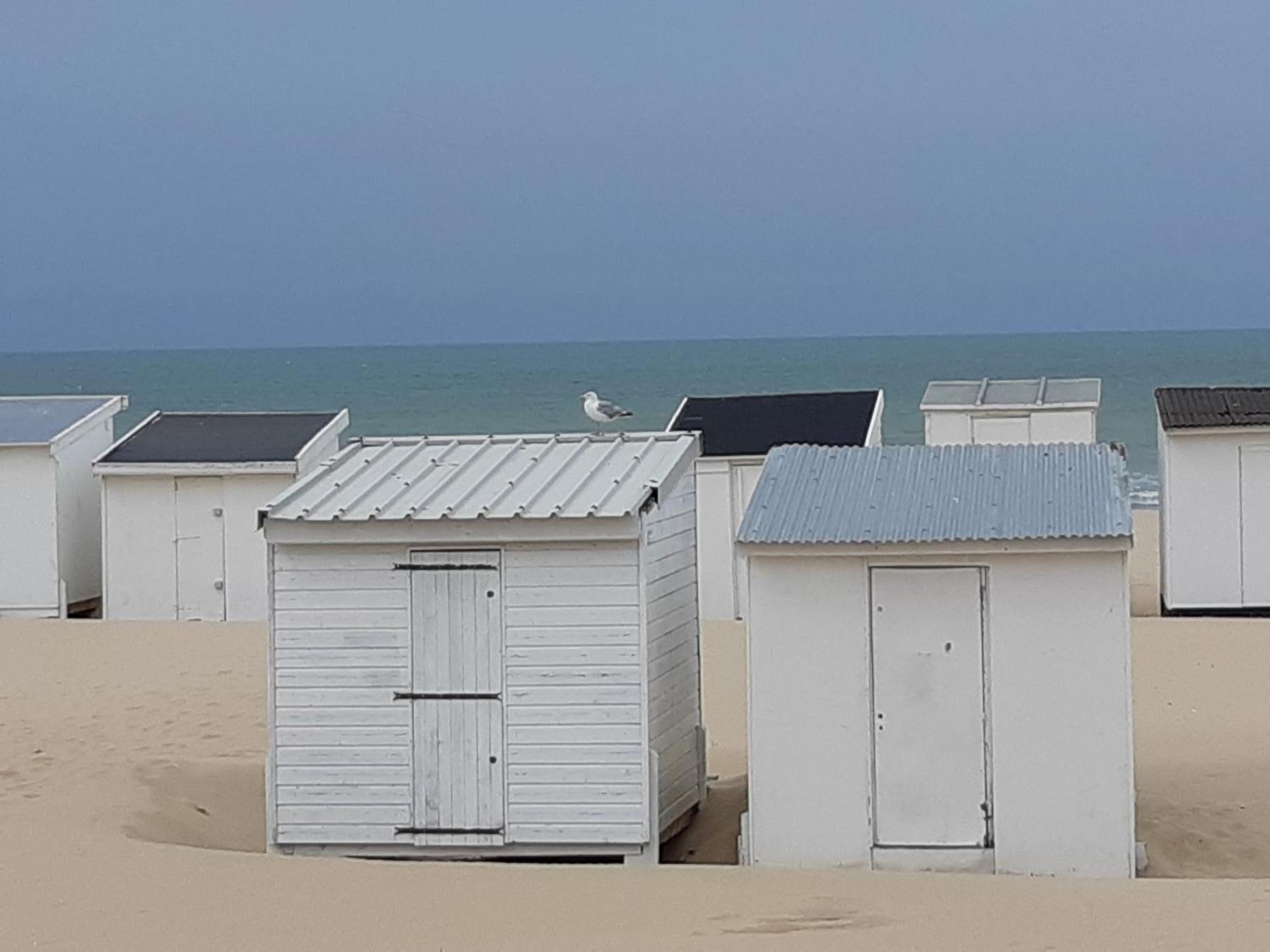 Calais Plage - Magnifique Studio - Front De Mer Eksteriør bilde